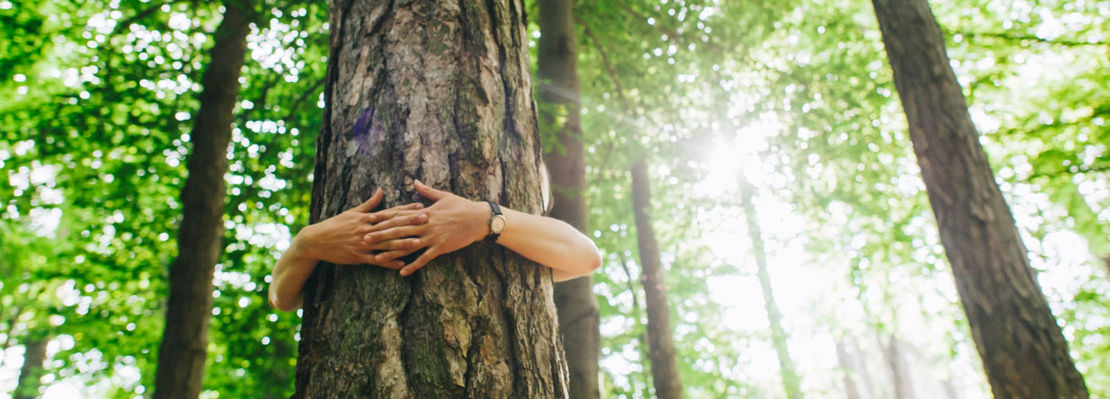 Umwelt und Klimaschutz in der Ev.-Luth. Kirche in Oldenburg