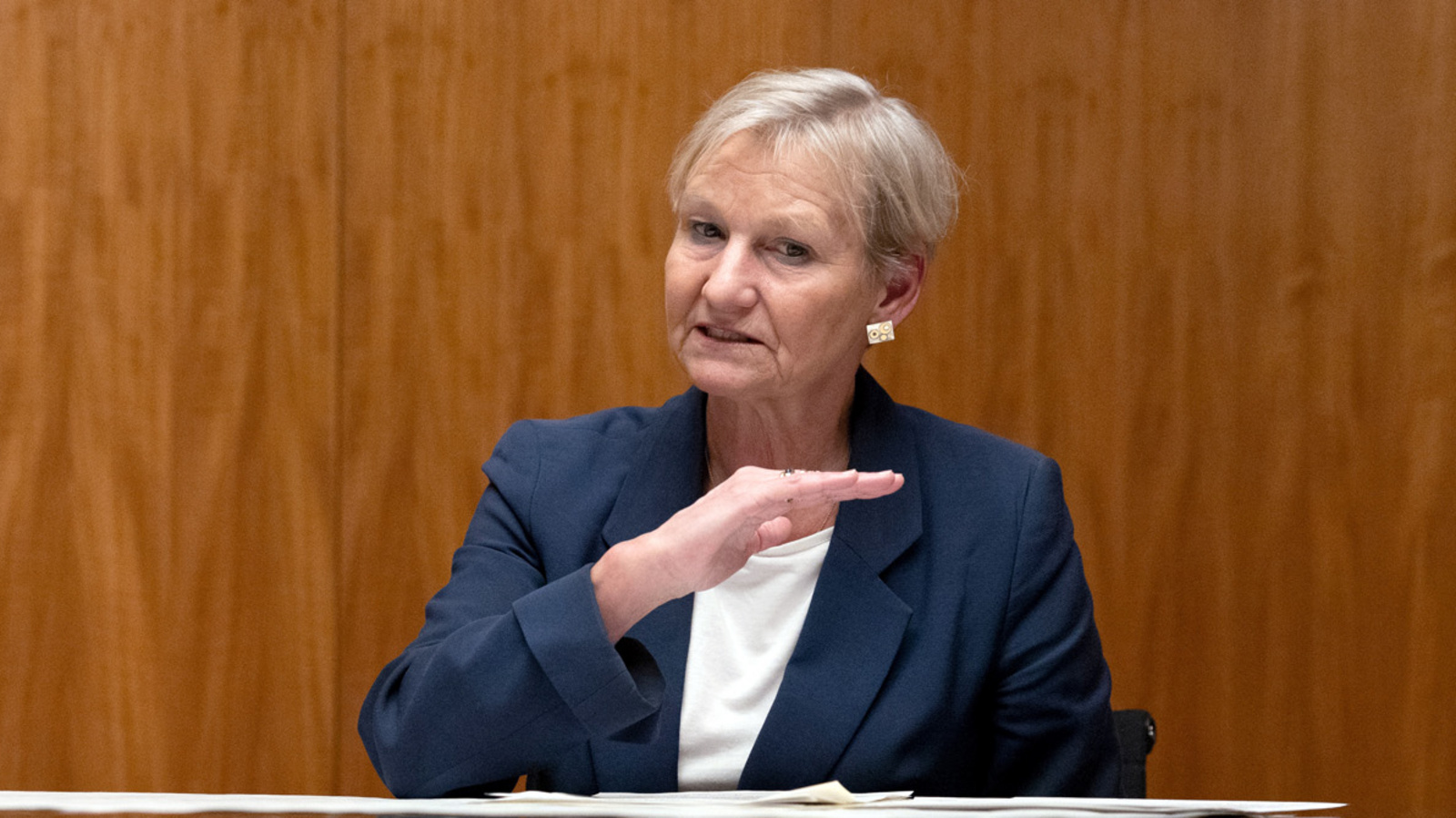 EKD-Ratsvorsitzende Bischöfin Kirsten Fehrs Zu sehen ist die EKD-Ratsvorsitzende Bischöfin Kirsten Fehrs.